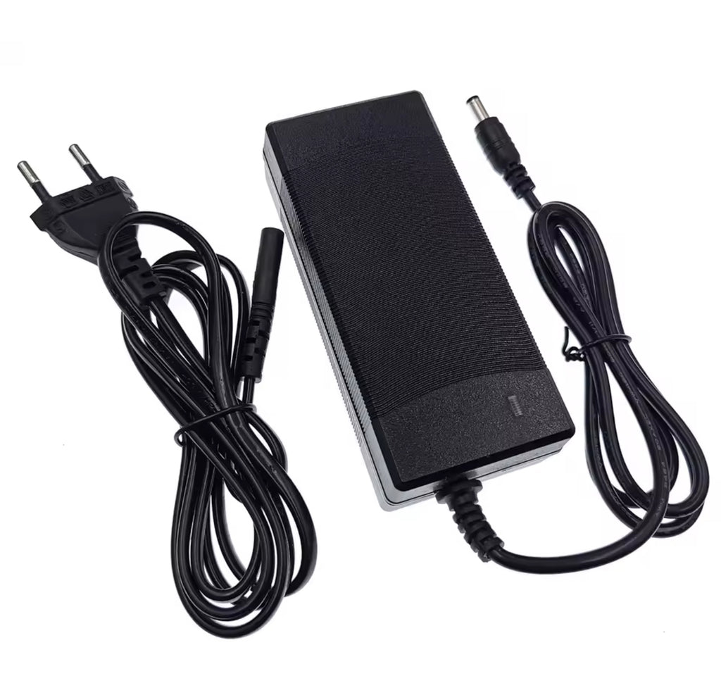 42V 2A Electric Scooter Fast Charger – EU / US / UK Plug